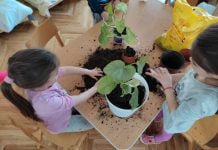 Еко активности у јануару