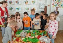 Дани општине Пећинци